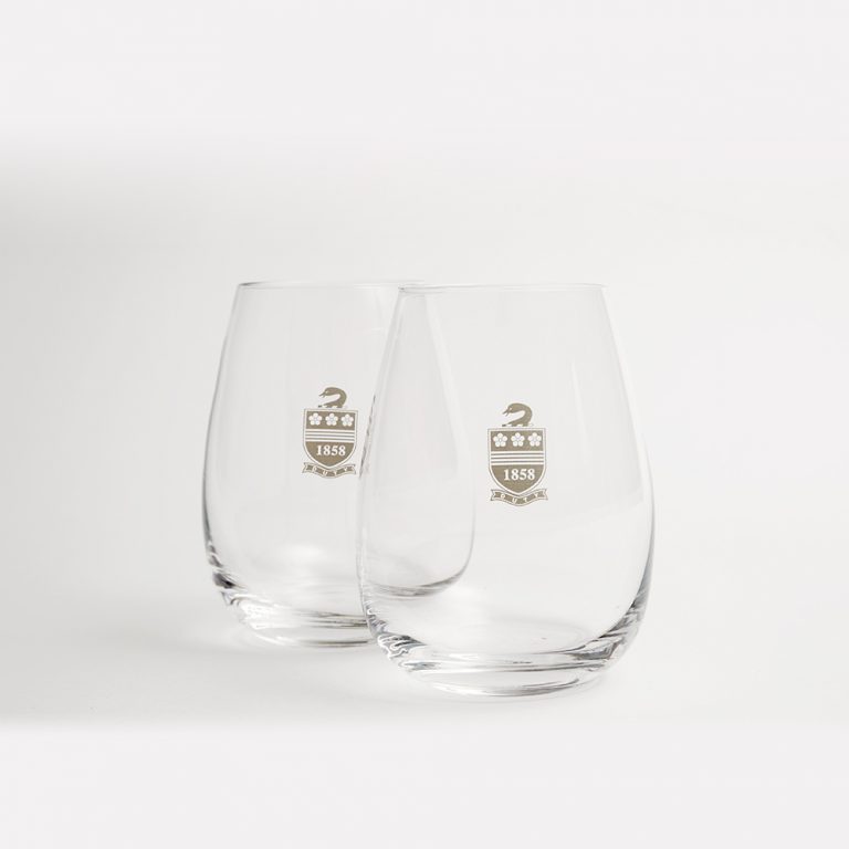 Stemless Wine Glasses (Pair)
